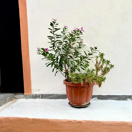 Apartamento Traditional Corfiot House Perivólion