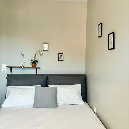 Traditional Corfiot House Apartment Perivolion