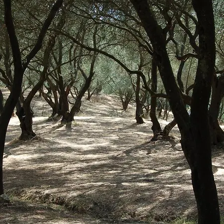 Traditional Corfiot House Perivólion