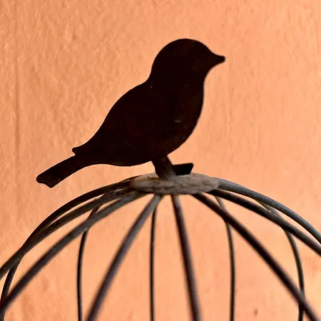 Traditional Corfiot House * Perivólion